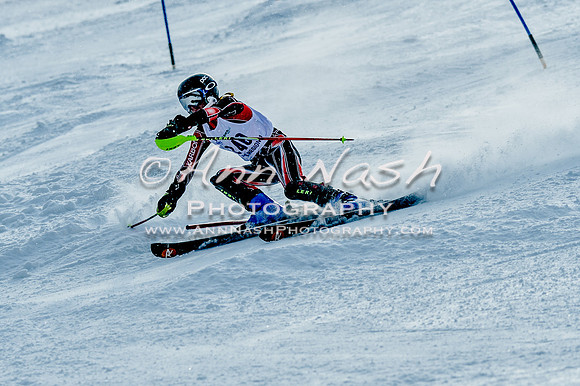 2016 February 14 alpine DSC_7544