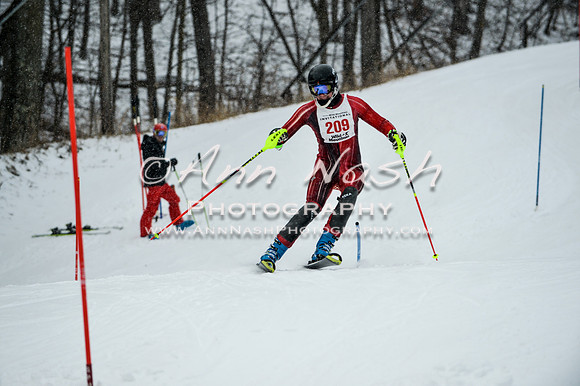 2015 December 18 alpine DSC_9293