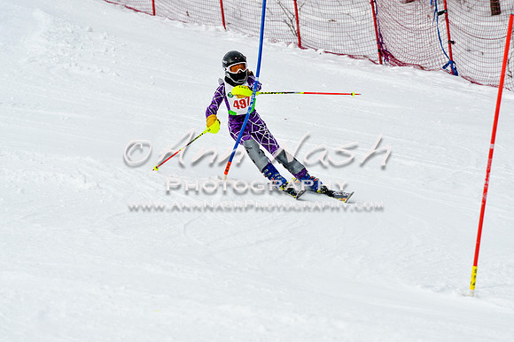 2016 January 22 alpine DSC_1791