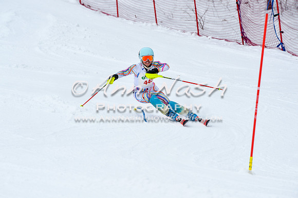 2016 January 22 alpine DSC_0812