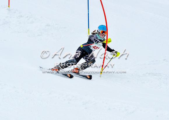 2016 January 22 alpine DSC_0594