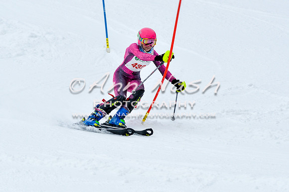 2016 January 22 alpine DSC_0801