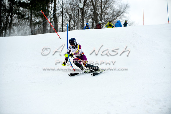 2015 December 18 alpine DSC_9636