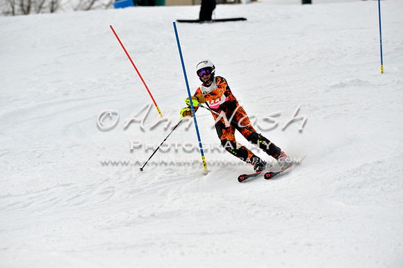 alpine_2015-01-22_12-51-47_DSC_2469_©AnnNashPhotographyLLC_2015