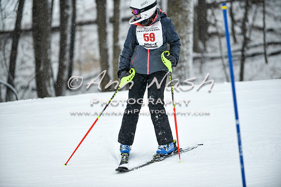2015 December 18 alpine DSC_9301