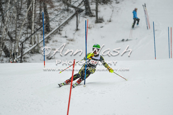 2015 December 18 alpine DSC_9186