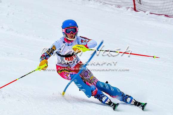 2016 January 22 alpine DSC_0766
