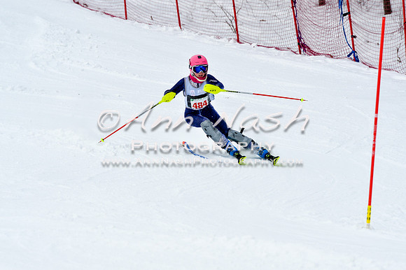 2016 January 22 alpine DSC_1266