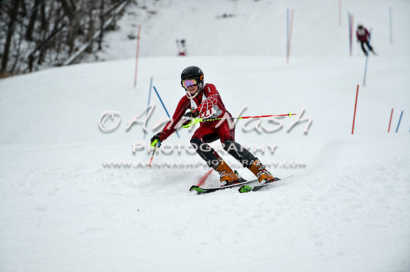 2015 December 18 alpine DSC_9340