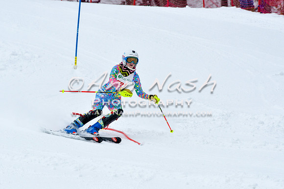 2016 January 22 alpine DSC_0708