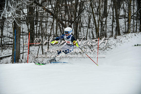 2015 December 18 alpine DSC_9266
