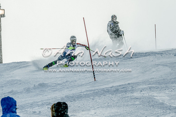 2016 February 14 alpine DSC_7495