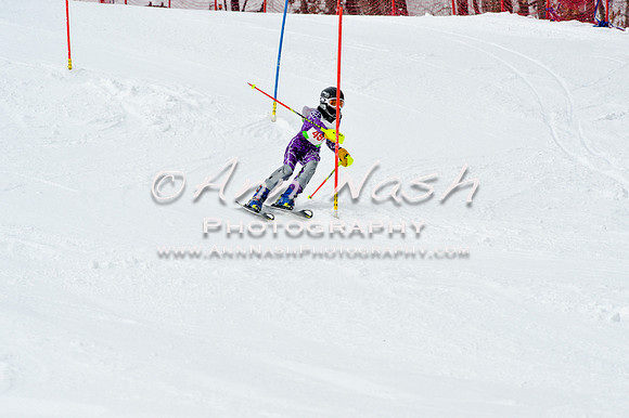 2016 January 22 alpine DSC_1789