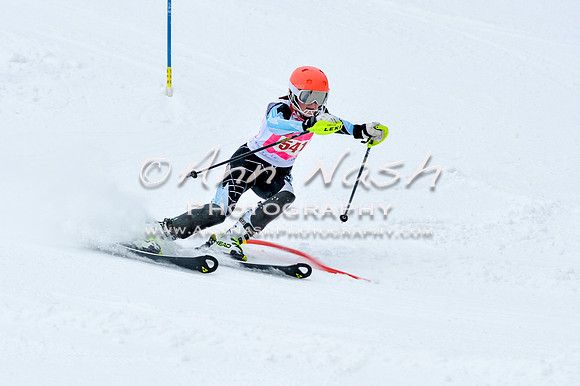 2016 January 22 alpine DSC_0717