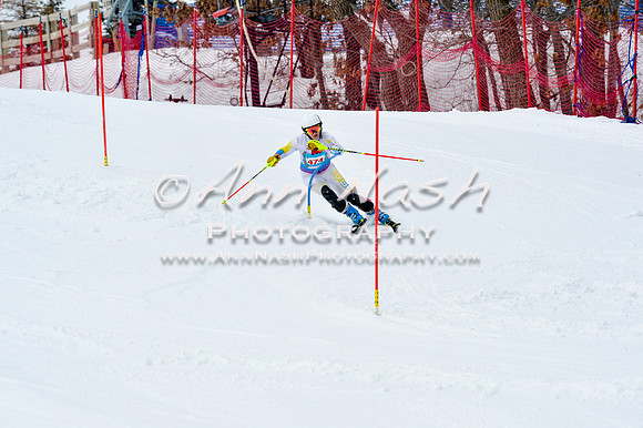 2016 January 22 alpine DSC_1247