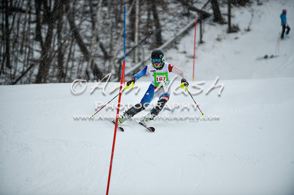 2015 December 18 alpine DSC_9091