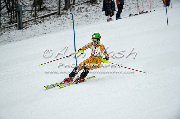 2015 December 18 alpine DSC_9377