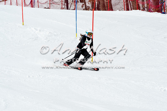 2016 January 22 alpine DSC_1673