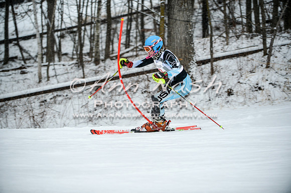 2015 December 18 alpine DSC_9119