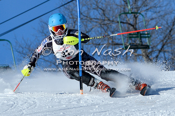 2016 February 10 alpine DSC_4427