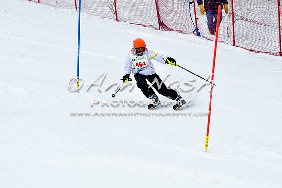 2016 January 22 alpine DSC_1236