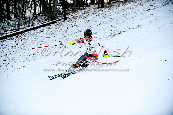 2015 December 18 alpine DSC_9912