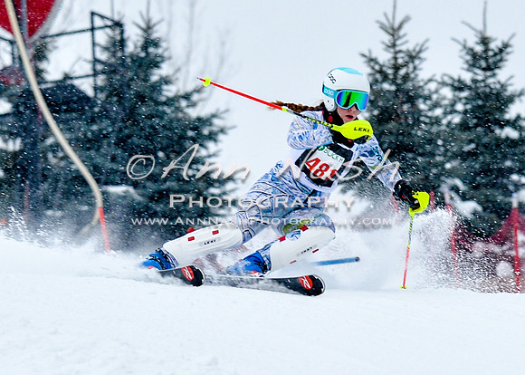 2016 January 22 alpine DSC_0656