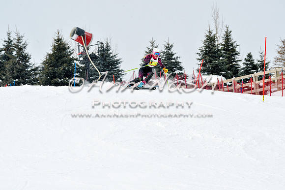 2016 January 22 alpine DSC_1681