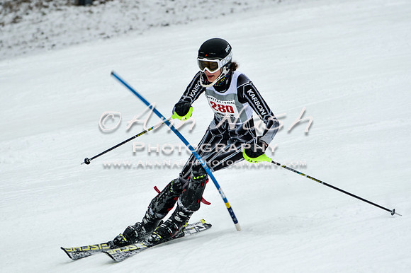 2015 December 18 alpine DSC_9460