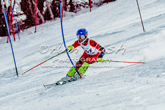 2016 February 14 alpine DSC_7255