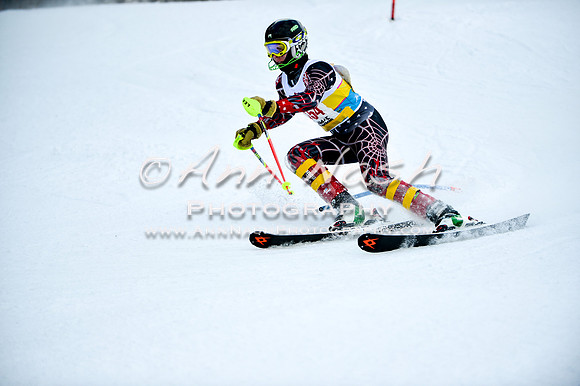2015 December 18 alpine DSC_9770
