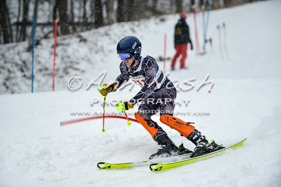 2015 December 18 alpine DSC_9298
