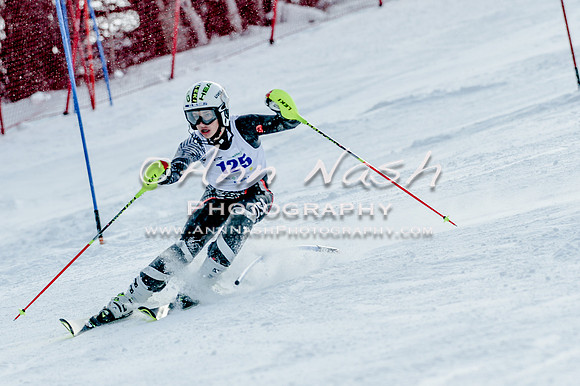 2016 February 14 alpine DSC_6581