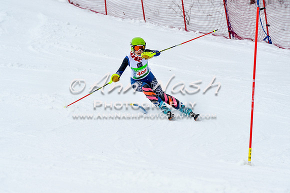 2016 January 22 alpine DSC_1085