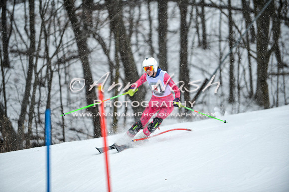 2015 December 18 alpine DSC_8972