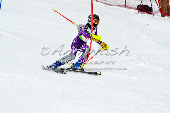 2016 January 22 alpine DSC_1794