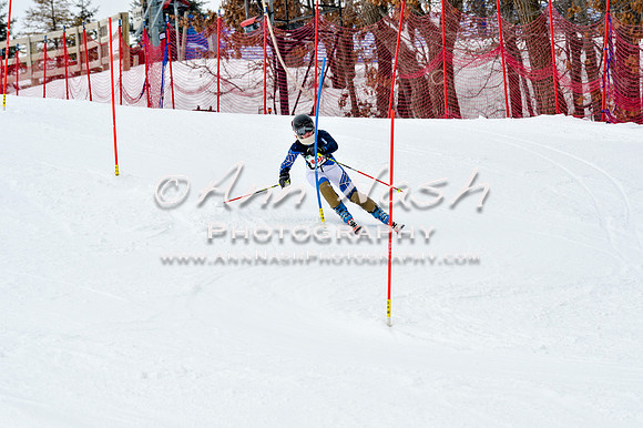 2016 January 22 alpine DSC_1901