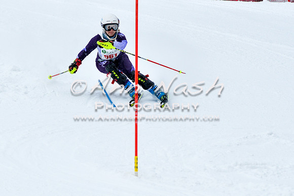 2016 January 22 alpine DSC_0744