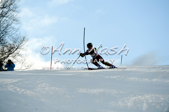 2015 December 18 alpine DSC_0130