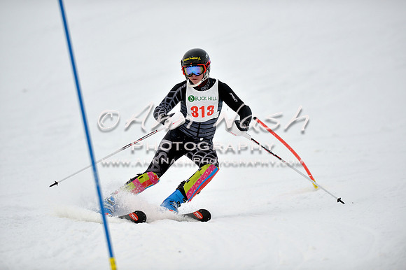 alpine_2015-01-22_12-07-51_DSC_1196_©AnnNashPhotographyLLC_2015