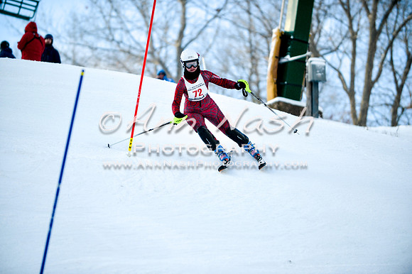 2015 December 18 alpine DSC_0084