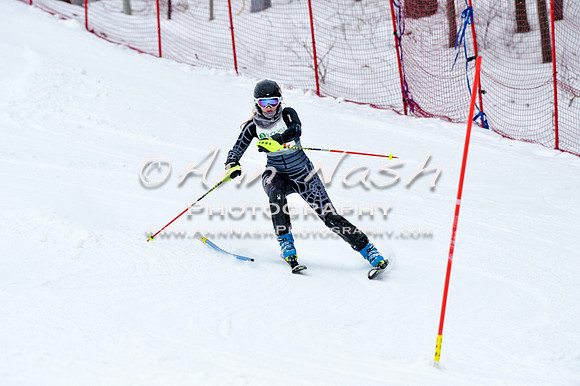 2016 January 22 alpine DSC_0955