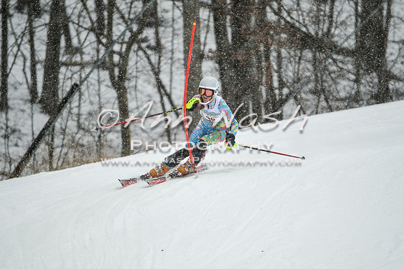 2015 December 18 alpine DSC_9179