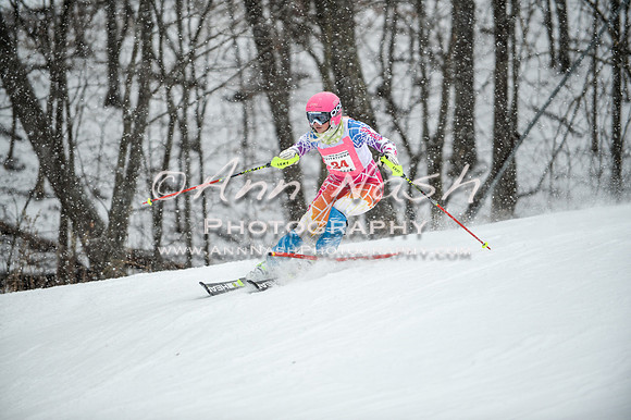 2015 December 18 alpine DSC_9162