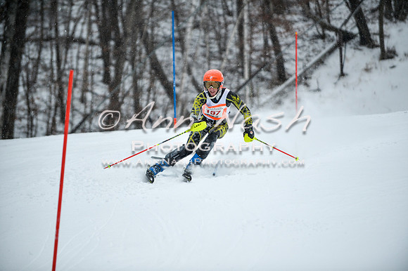 2015 December 18 alpine DSC_9005
