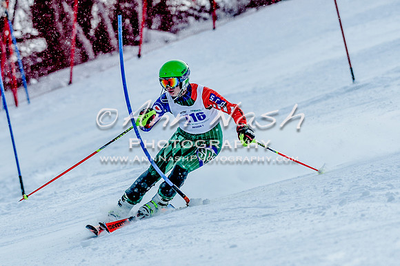 2016 February 14 alpine DSC_7858