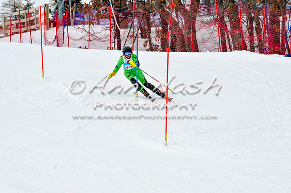 2016 January 22 alpine DSC_1890