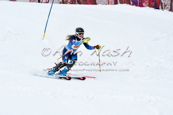 2016 January 22 alpine DSC_1036