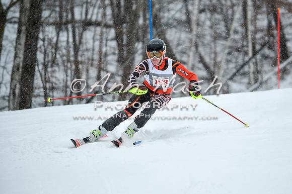 2015 December 18 alpine DSC_8963