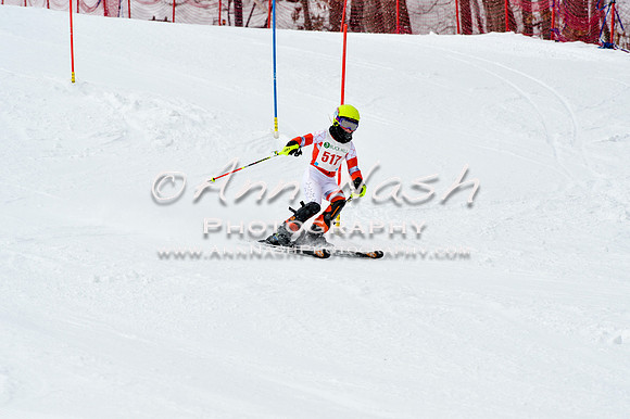 2016 January 22 alpine DSC_1796
